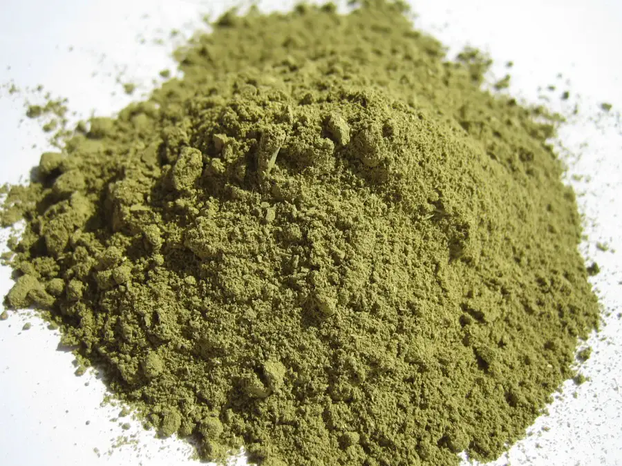 Poudre de henné pour cheveux, vert kaki, avant mélange avec l'eau